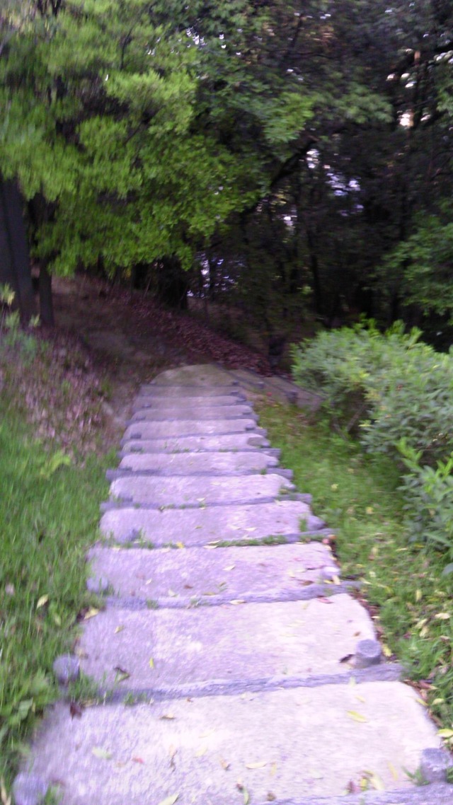 20130519193415_628_1