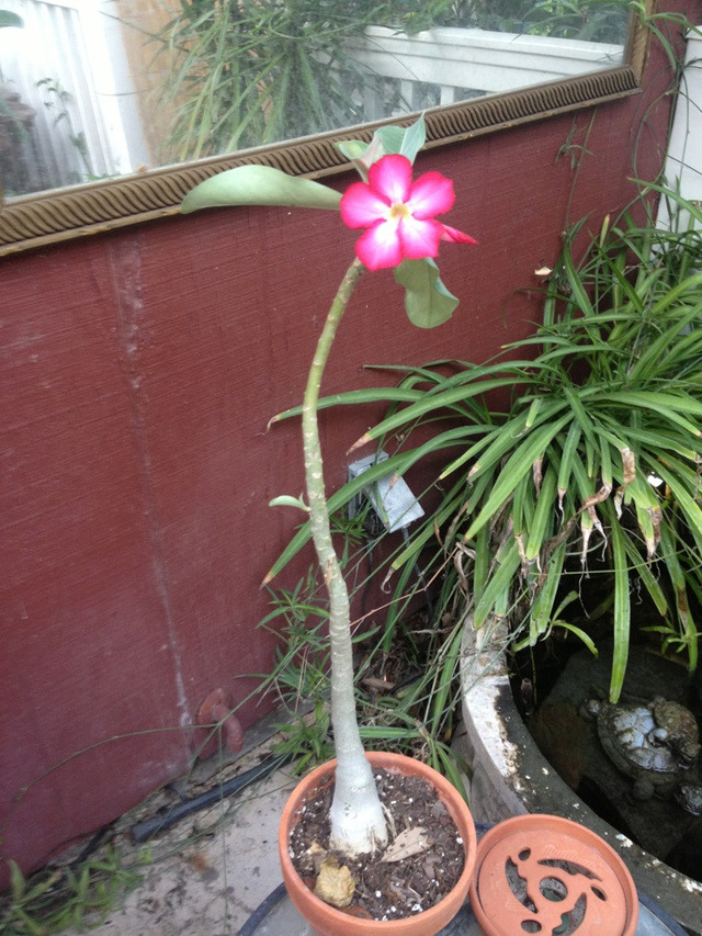 20130623192915_63_8