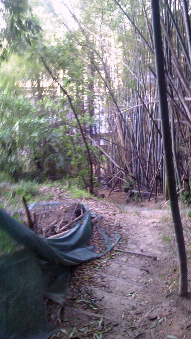 20130519193415_631_1