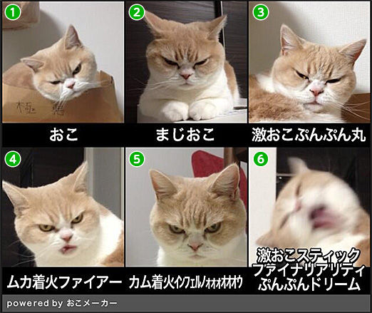 おこ