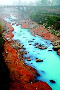 kawa