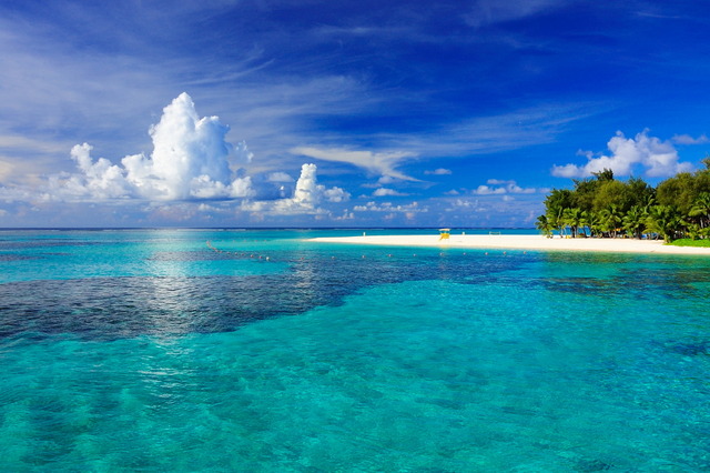 夏