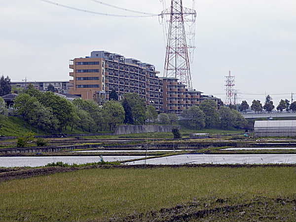 361_1