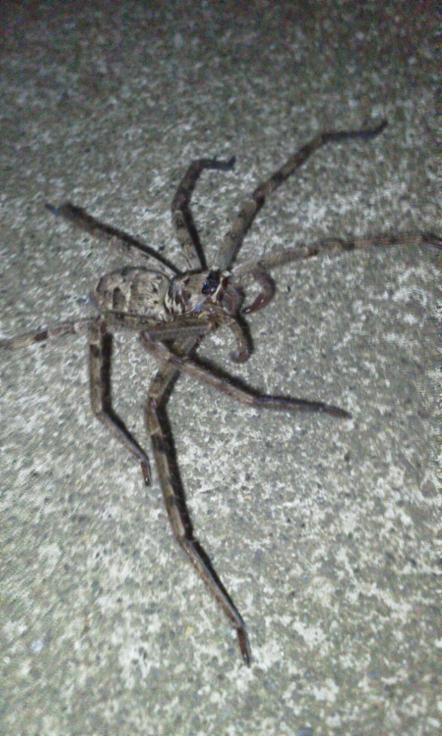20130907113142_190_1
