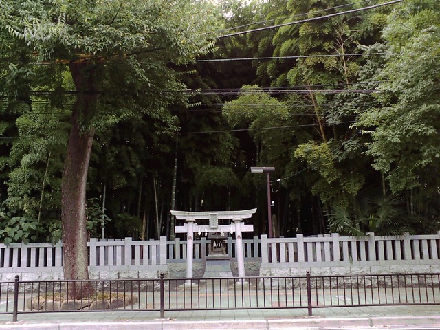 藪