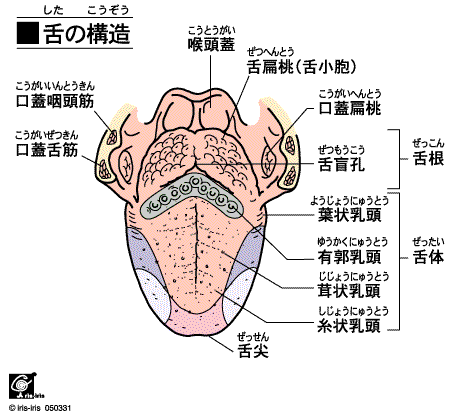 みらい