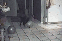 20140224215701_428_1