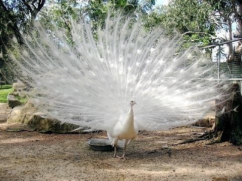 20131105234208_80_1
