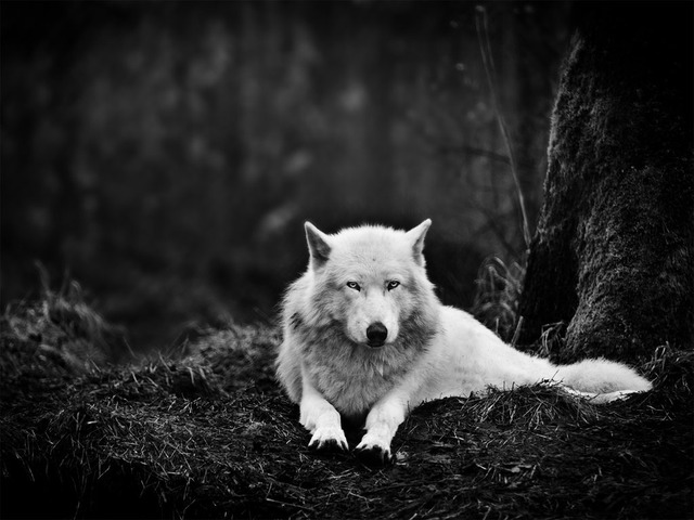20130712035029_104_10
