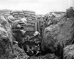 300px-Trencheswwi2