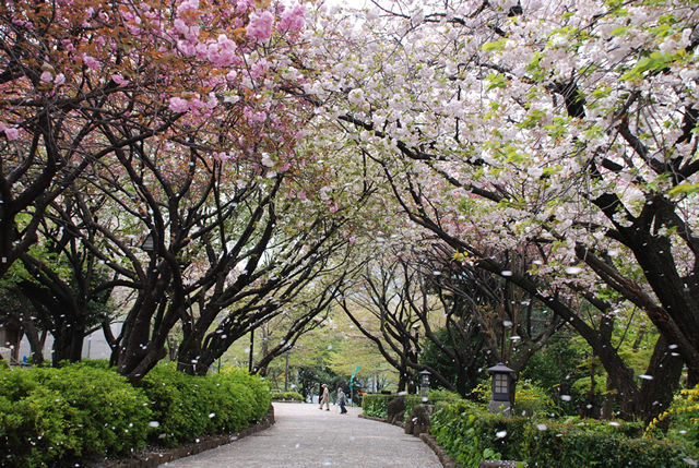 公園