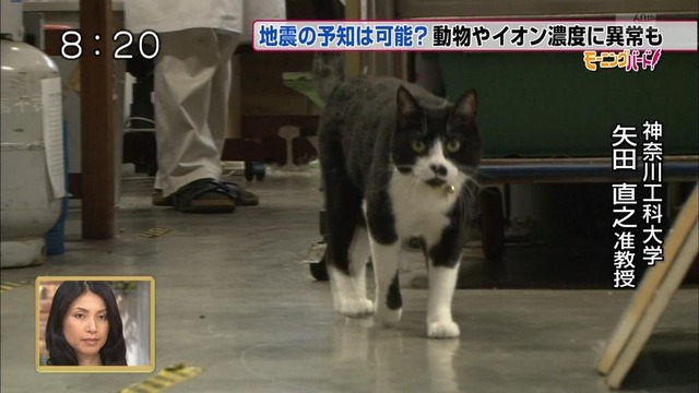 20130306164852_896_3