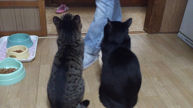 20140723203300_275_1