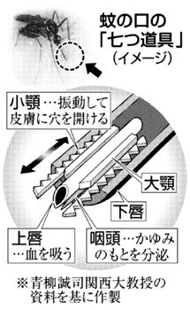 針