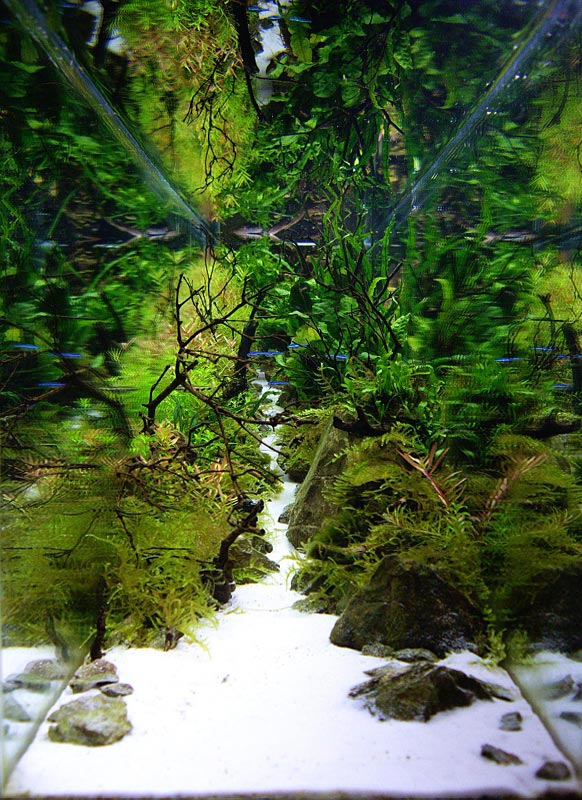 272_8