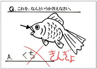 20130712035029_344_1