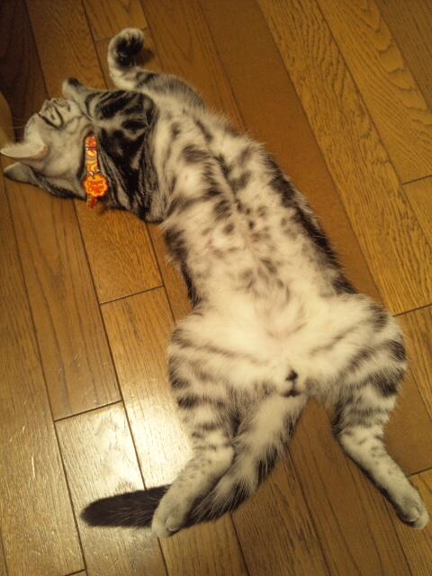 20140723203300_664_1