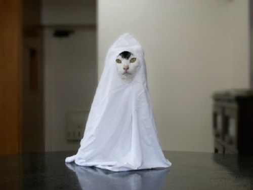 ȋȑqZ 237rڔLKCWuX [f]ڋ֎~]©bbspink.com	YouTube>1{ ->摜>3567 