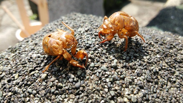 20140712063501_90_1