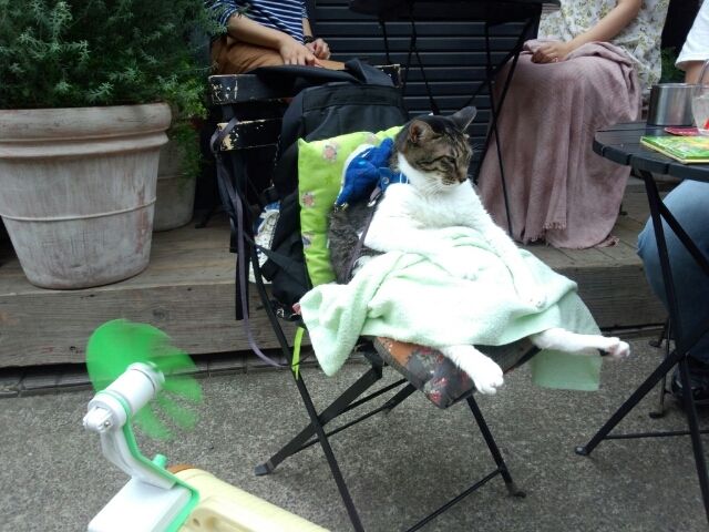 20140723203300_633_1