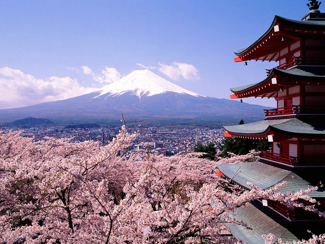 日本1