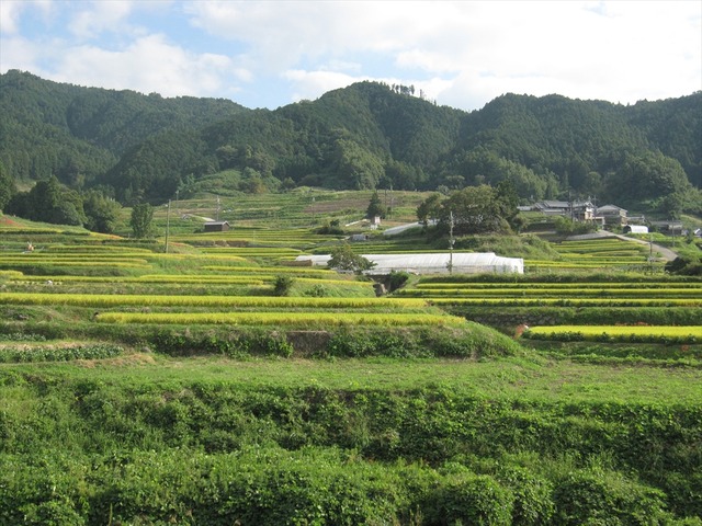 20140715183917_87_1