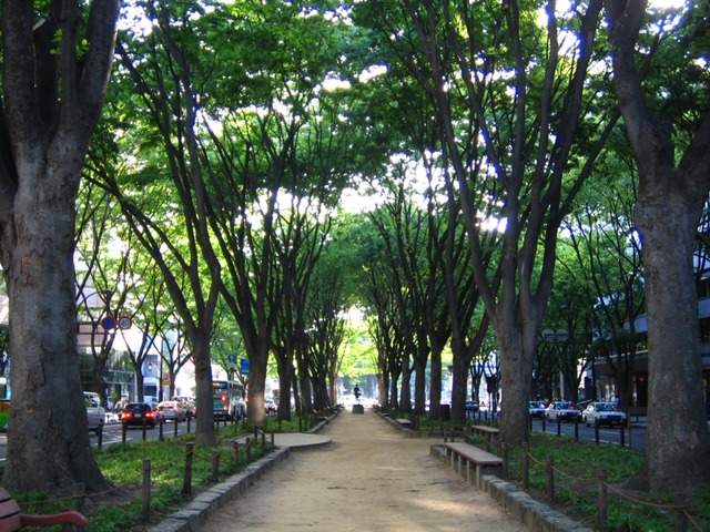 The_promenade_of_Jouzenji-dori_Avenue