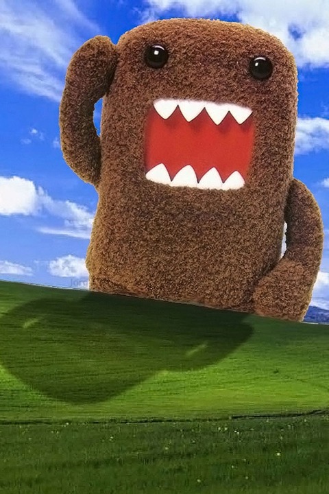78_1