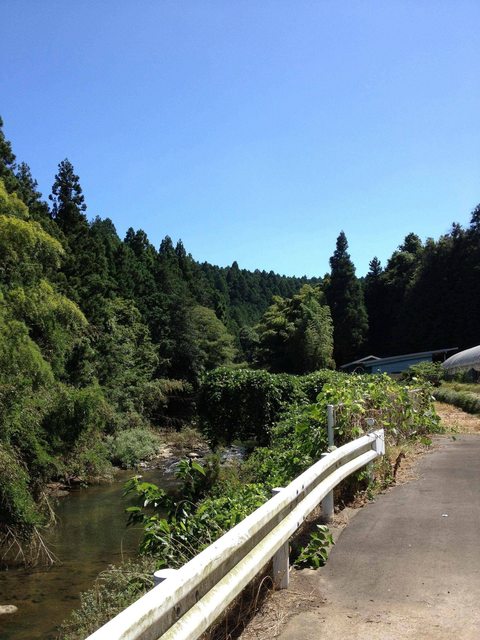 20130517063521_61_2