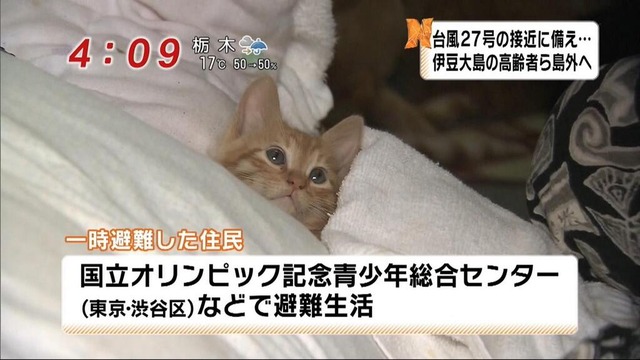 20140723203300_906_1