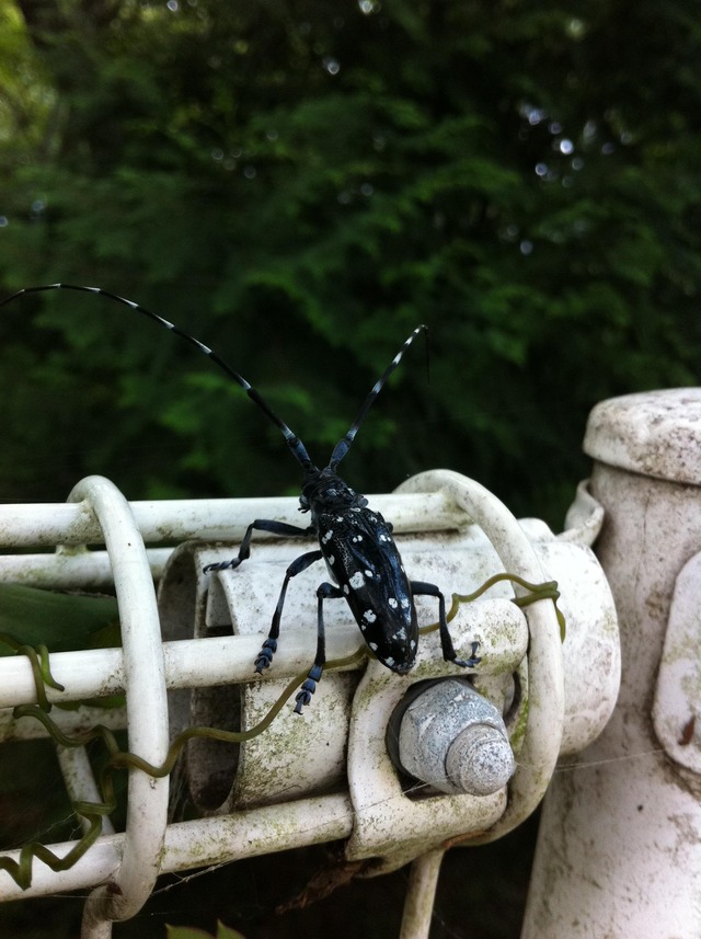 20130907113142_99_1