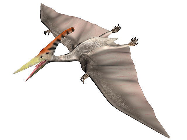 putera