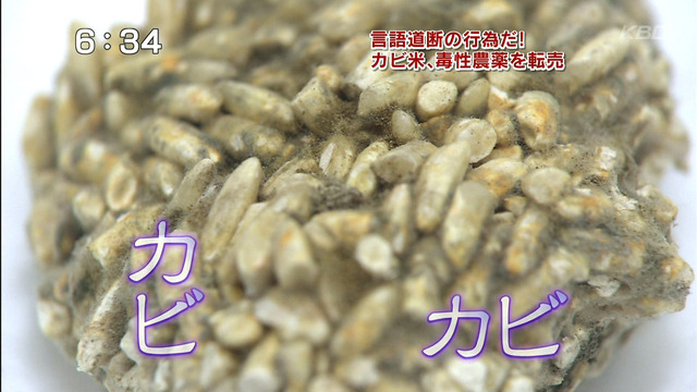 かび1