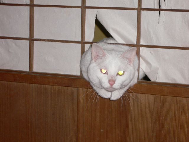 20140224211325_303_7