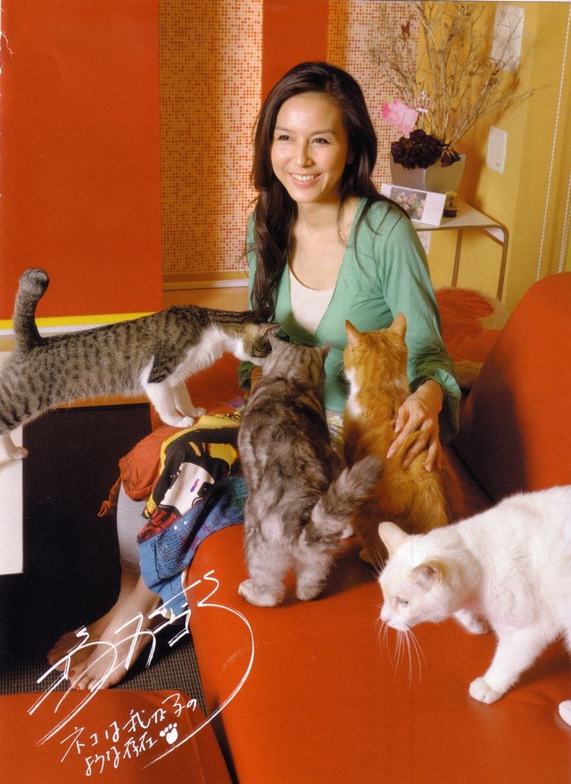 猫