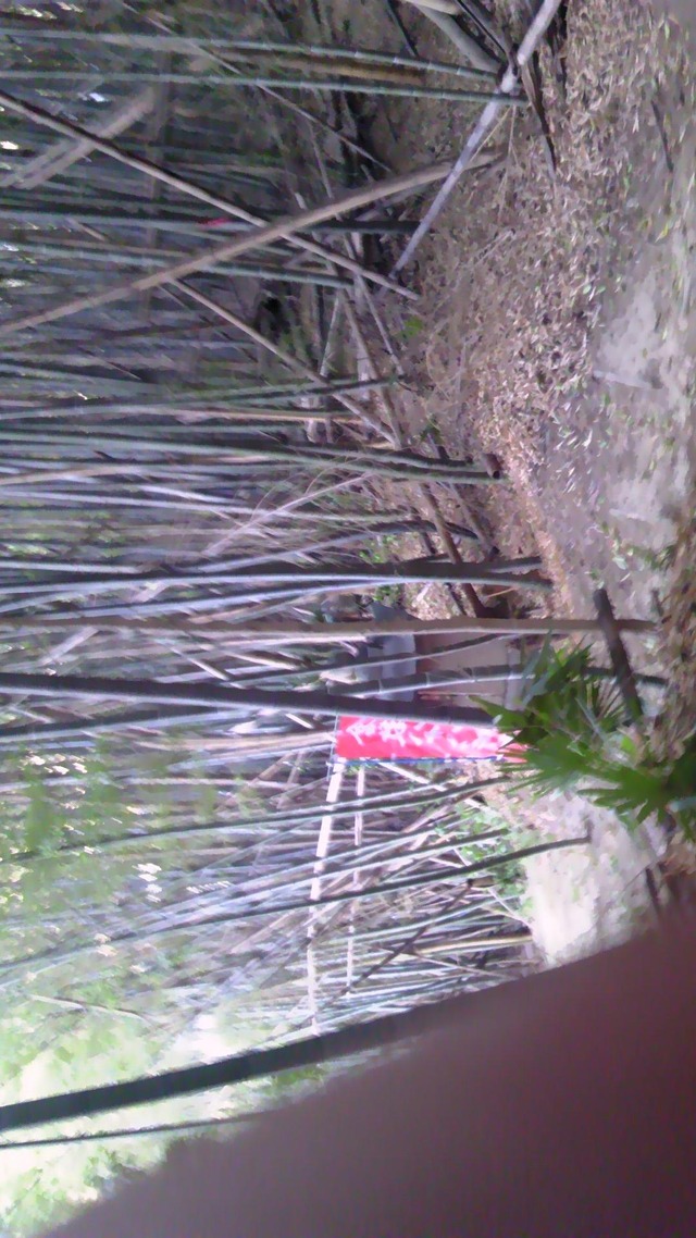 20130519193415_630_1