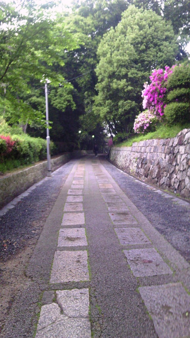 20130519193415_99_1