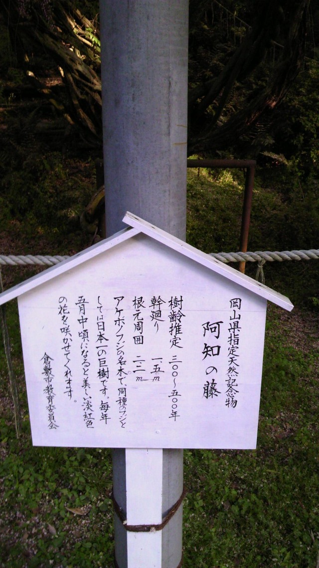 20130519193415_625_2