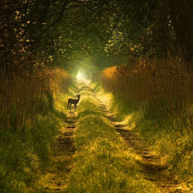 214_11