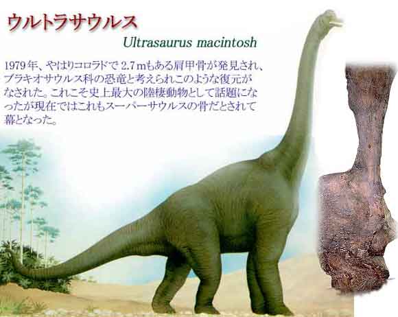 ultrasaurus