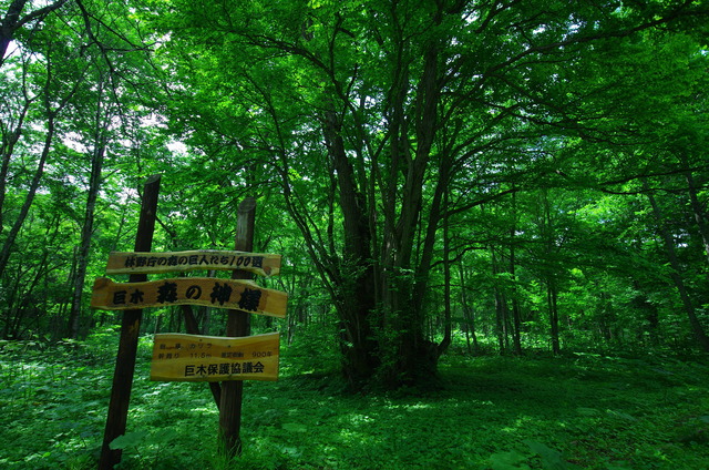 20130429180948_70_1