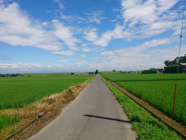 20140715183917_49_1