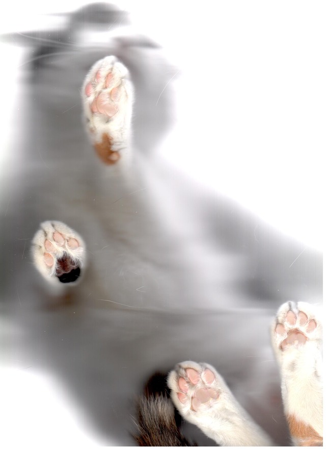 20130316163033_74_4