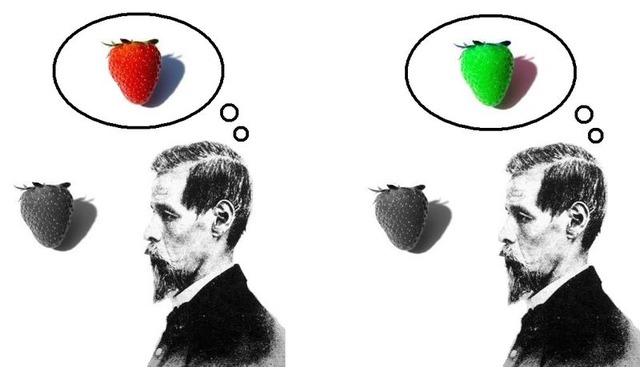 800px-Inverted_qualia_of_colour_strawberry