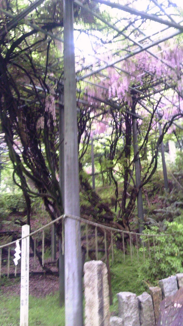 20130519193415_106_1