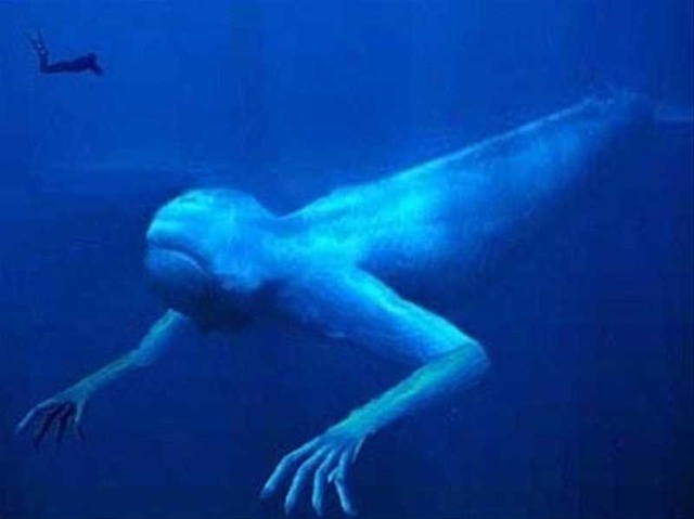 【深海ヤバイ】深海に棲む異形の生物画像