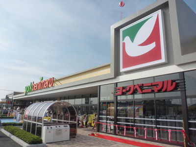ヨーク