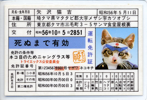 20140719184605_228_1