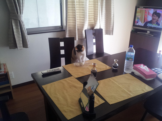 20140723203300_382_1