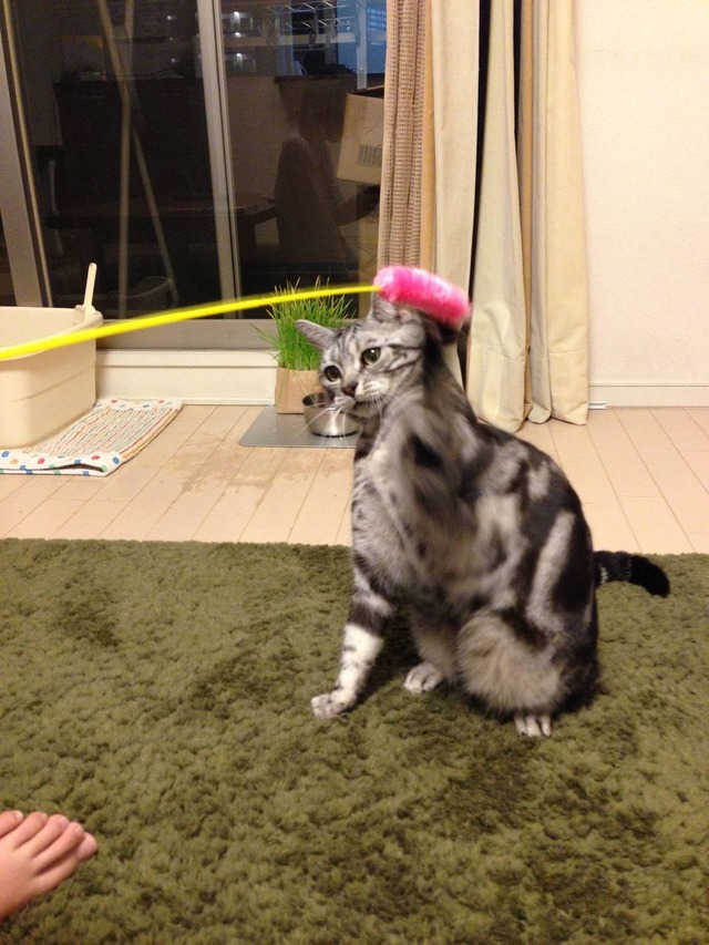20140723203300_28_1